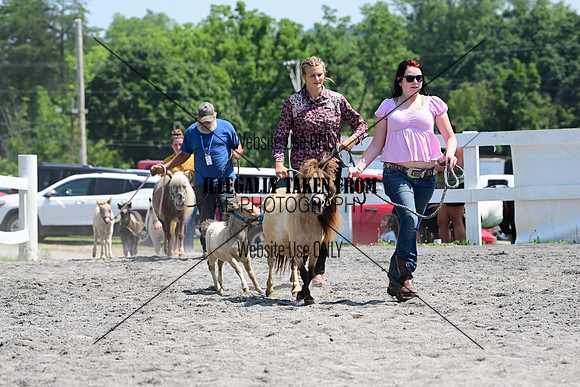 AJB_0294