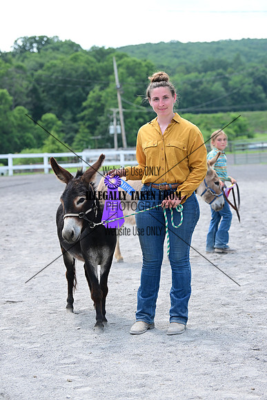AJB_0642