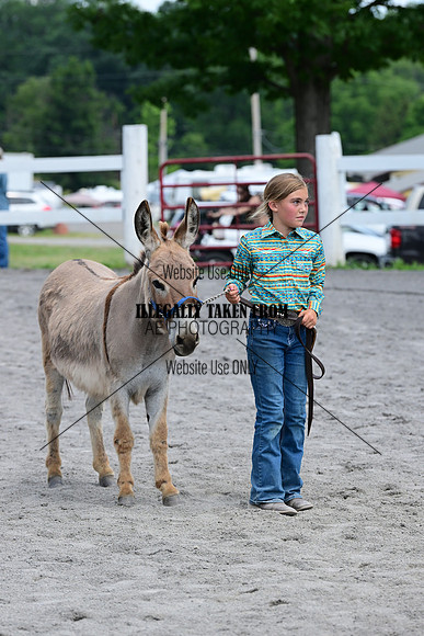 AJB_0649