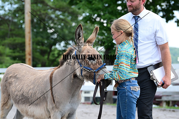 AJB_0657