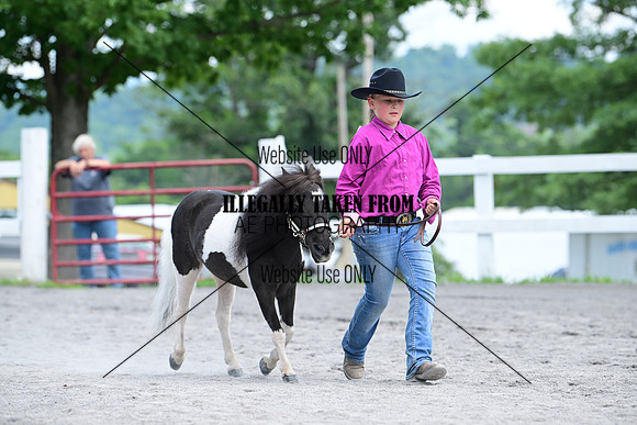 AJB_0610