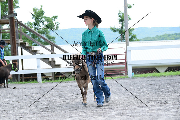 AJB_0614
