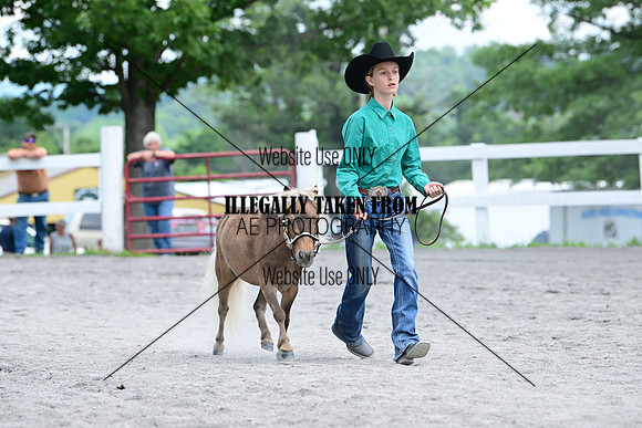 AJB_0615