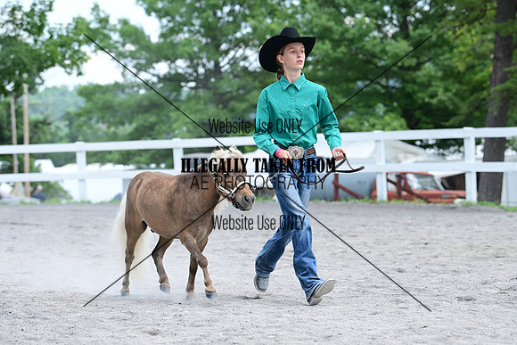 AJB_0616