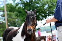 AJB_0577
