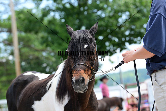 AJB_0577