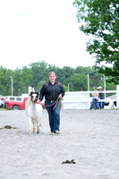 AJB_0584