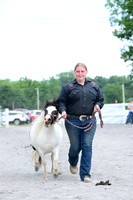 AJB_0586