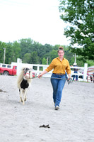 AJB_0588