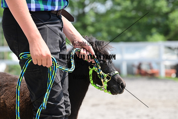 AJB_0435