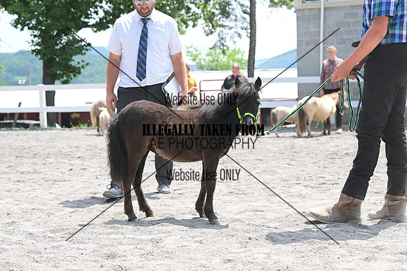 AJB_0436