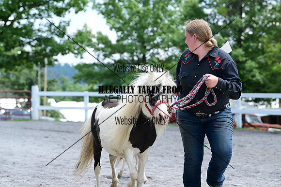 AJB_0444