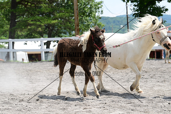 AJB_0451