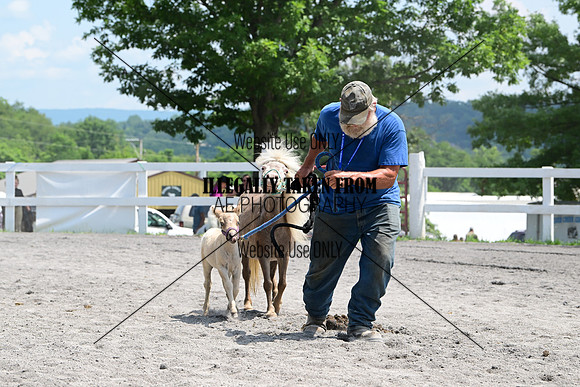 AJB_0458