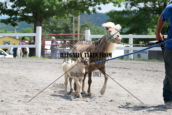 AJB_0459
