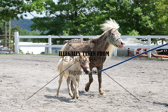 AJB_0460