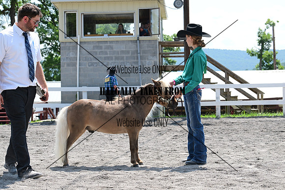 AJB_0361