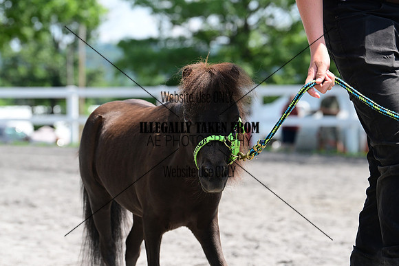 AJB_0366