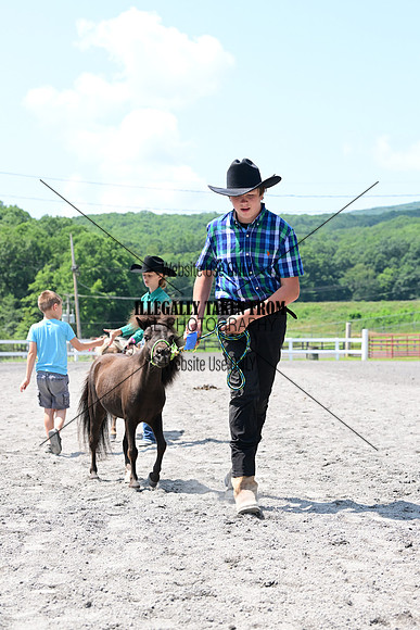 AJB_0370