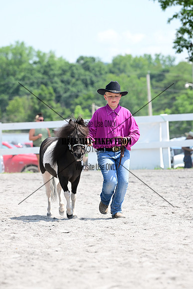 AJB_0376
