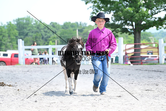 AJB_0384