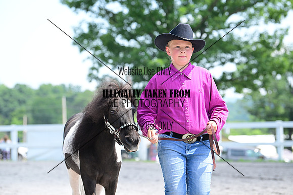 AJB_0385
