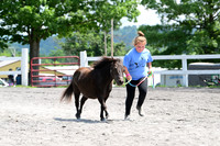 AJB_0388