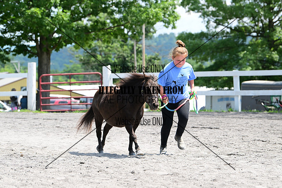 AJB_0388