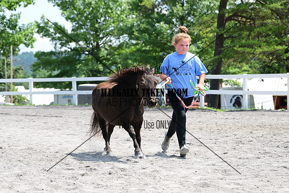 AJB_0389