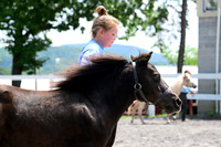 AJB_0390