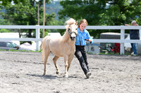 AJB_0393