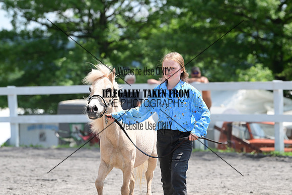 AJB_0394