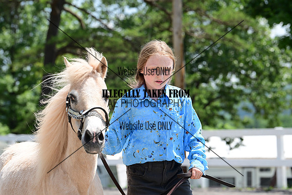 AJB_0397