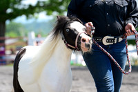 AJB_0163