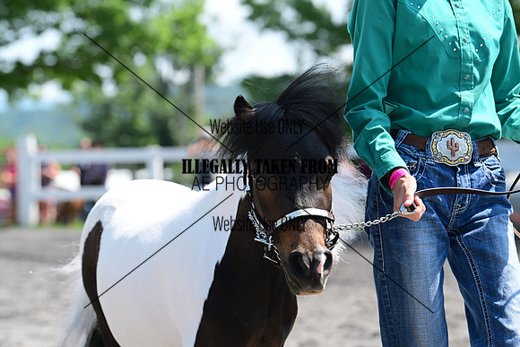 AJB_0171