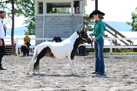 AJB_0174