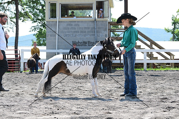 AJB_0174