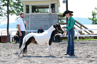 AJB_0175
