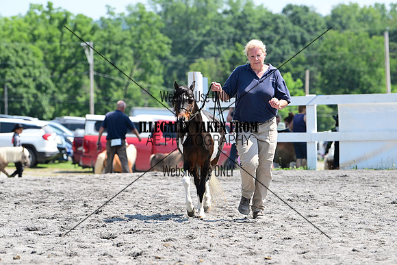 AJB_0176