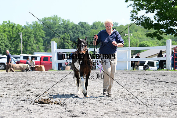 AJB_0177