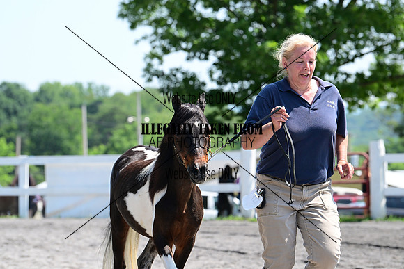 AJB_0178