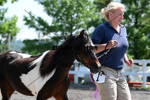 AJB_0179
