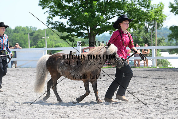 AJB_0184