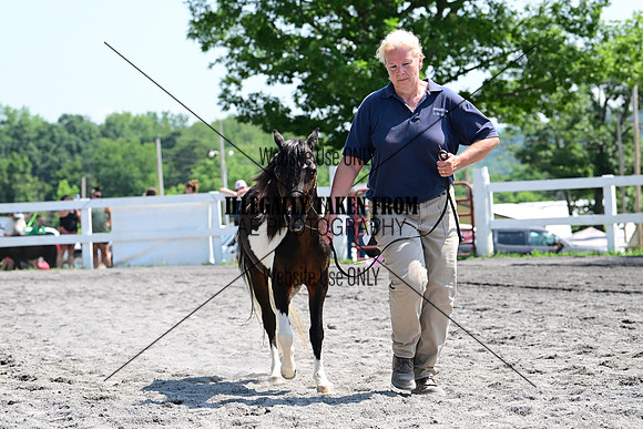 AJB_0194