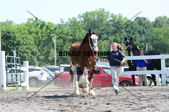 AJB_0129