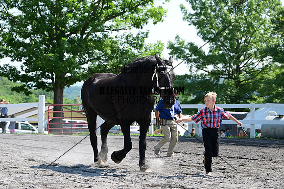 AJB_0127