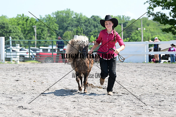 AJB_0206