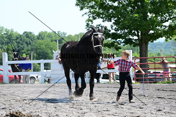 AJB_0132