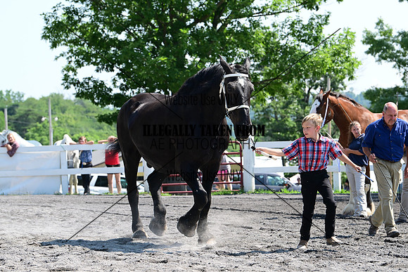 AJB_0133