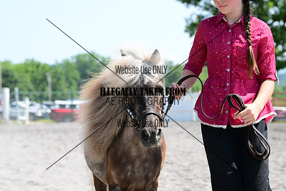 AJB_0208